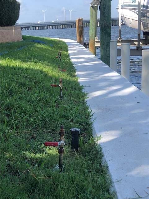 Seawall along a grass bank