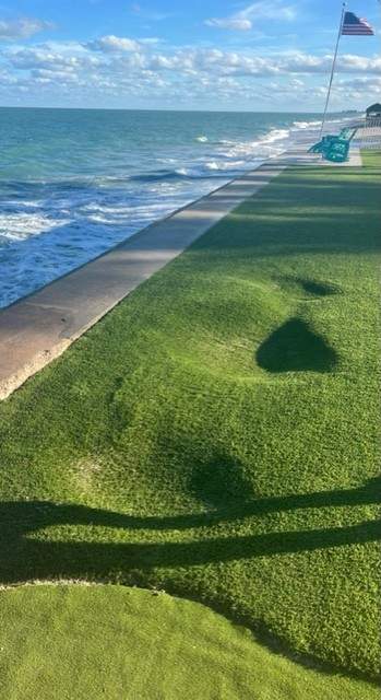 Seawall along the river on a golf course